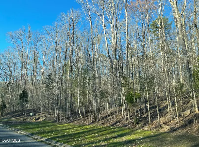 Eagle Ridge Rd, Rockwood, TN 37854