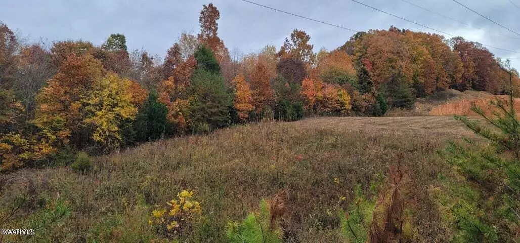 36.59 Ac River Rd, Decatur, TN 37322