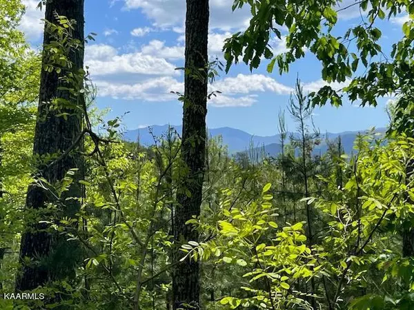 Sevierville, TN 37862,Lot 134 Summit Trails Drive DR