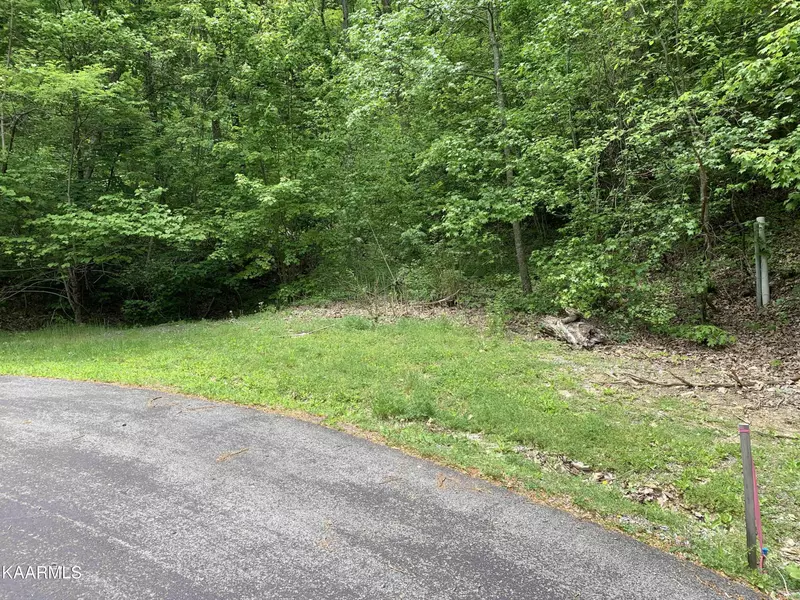 Lot 12 Whetstone Rd, Sevierville, TN 37862