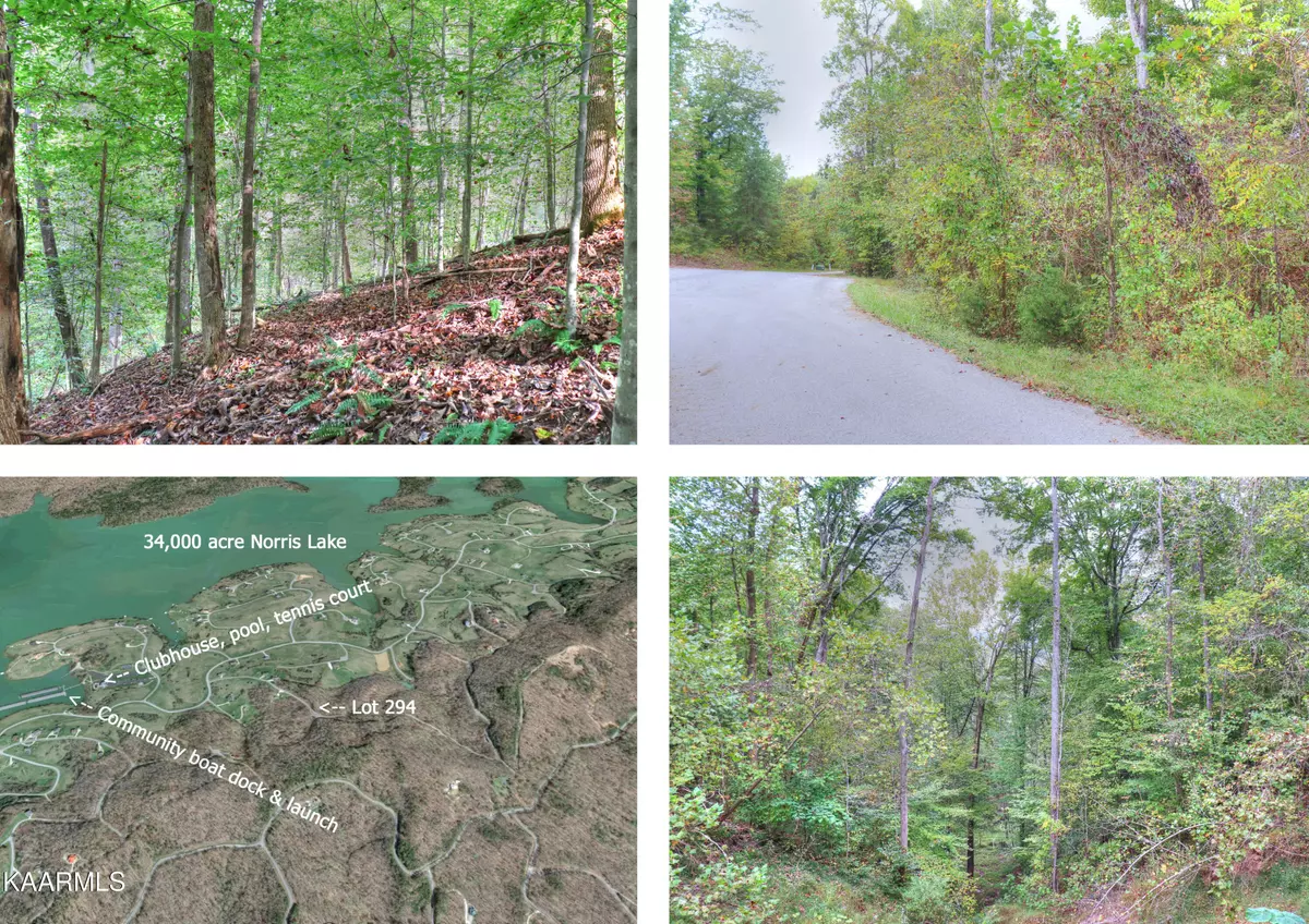 Sharps Chapel, TN 37866,Lot 294 Garfield LN