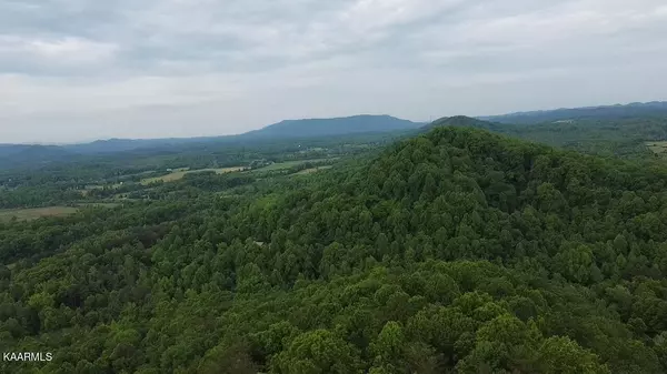 Tellico Plains, TN 37385,Cagle Rd