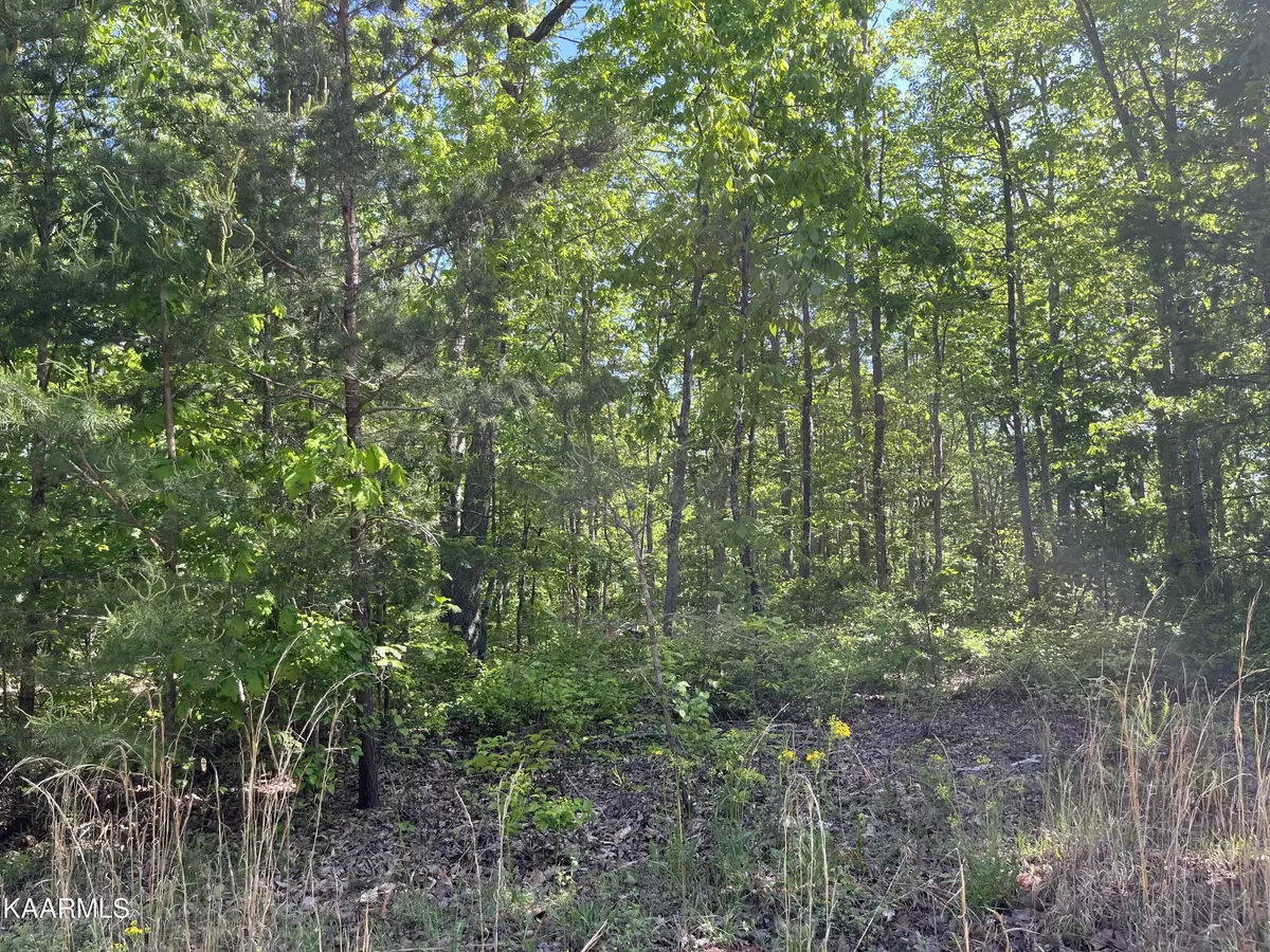 Spencer, TN 38585,Lot 4 Bluff View DR