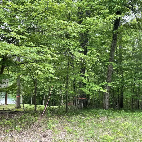 Fairfield Glade, TN 38558,18 Hunterwood CT