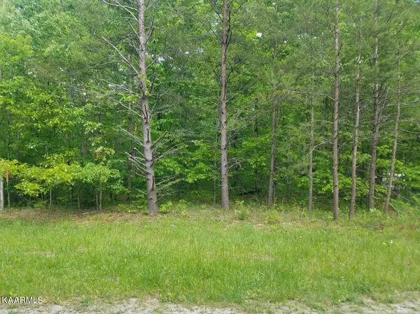 Crossville, TN 38572,Lot 514 Connely DR