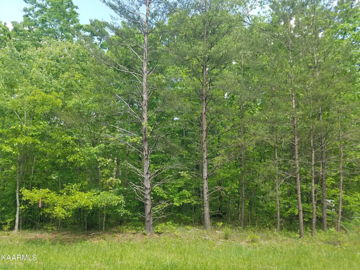 Crossville, TN 38572,Lot 514 Connely DR