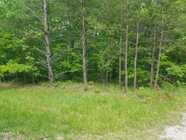 Crossville, TN 38572,Lot 514 Connely DR