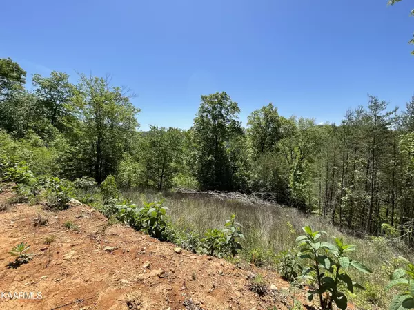 New Tazewell, TN 37825,Lots 35-36 Serrento LN