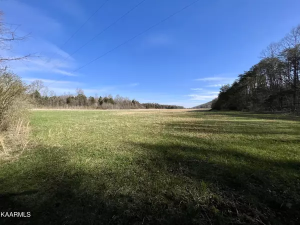 Ten Mile, TN 37880,Dry Fork Valley Rd