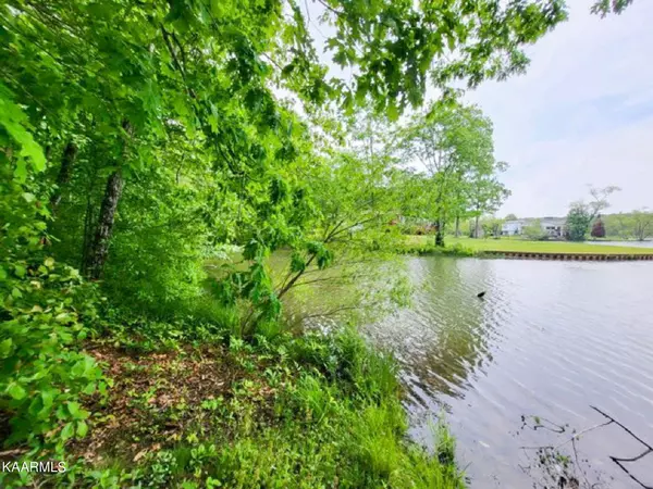 Dunlap, TN 37327,Fawn CIR