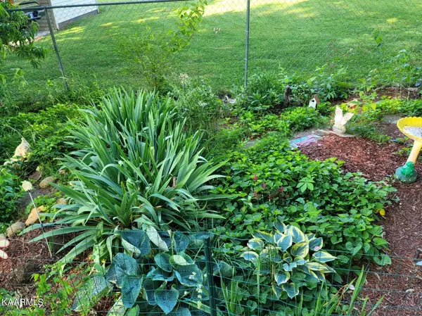 Maryville, TN 37804,3728 Davis Ford Rd