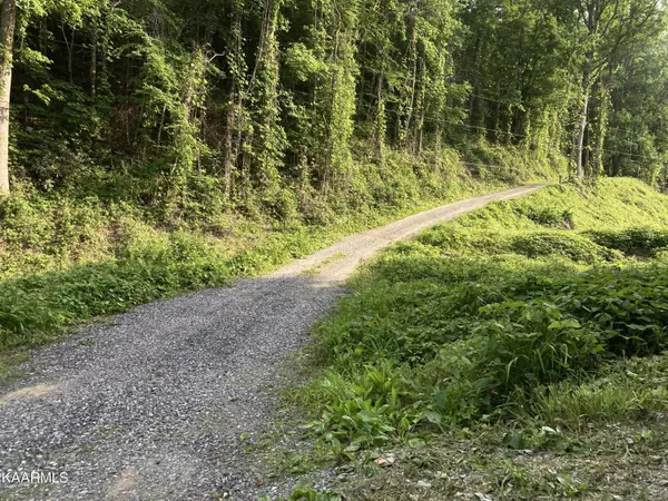 Reece Hollow Rd Rd, Del Rio, TN 37727