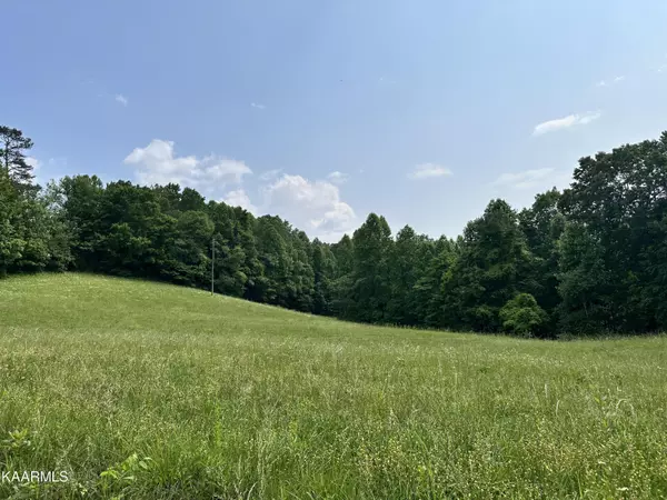 Speedwell, TN 37870,TBD Jones Ridge Rd