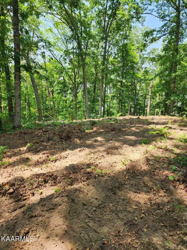 Lot 9 Painted Sky DR, Dandridge, TN 37725