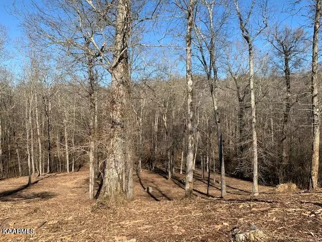 Rockwood, TN 37854,Thief Neck View DR