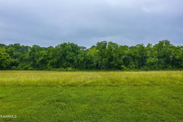 Parrottsville, TN 37843,Secluded River CIR