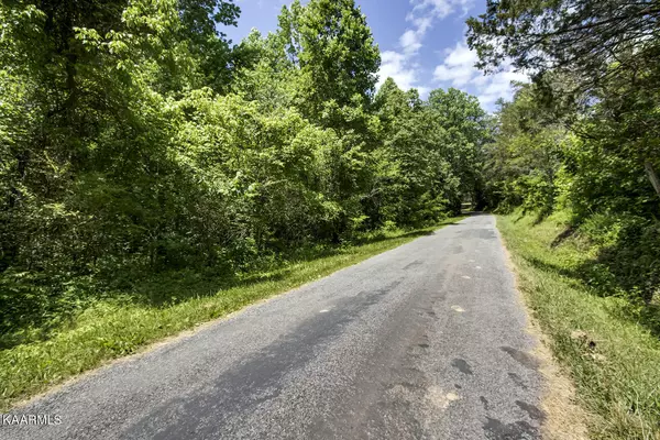 Tellico Plains, TN 37385,Payne Rd