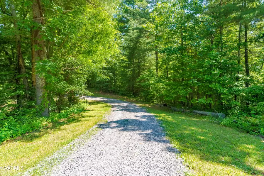 Reece Hollow Rd, Del Rio, TN 37727