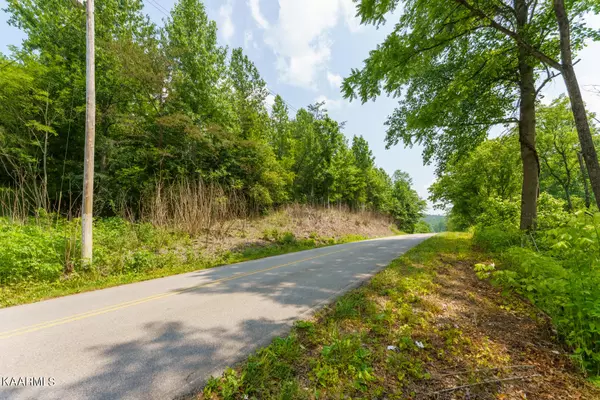 Bogard Rd, Cosby, TN 37722