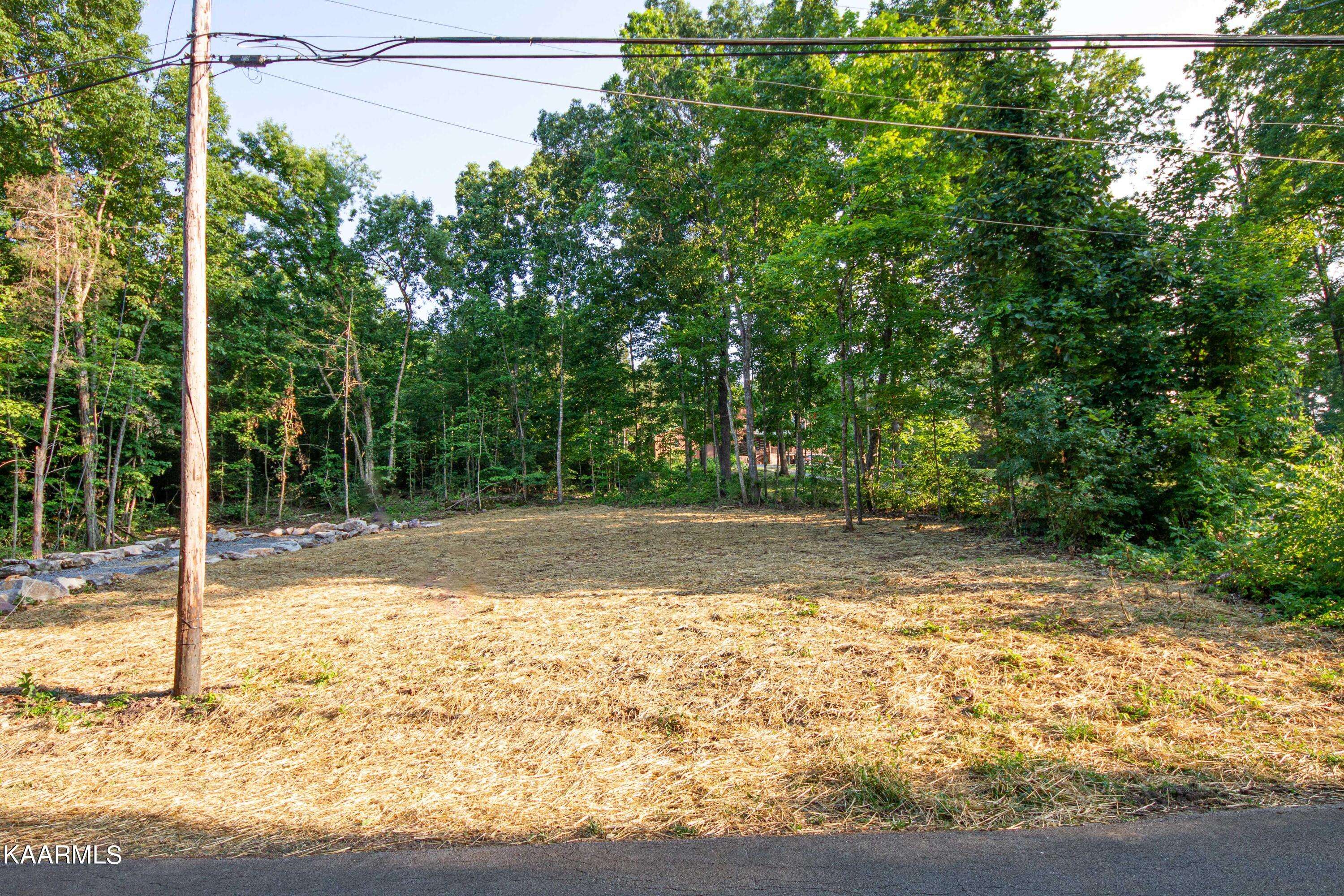 3623 Channel DR, Louisville, TN 37777