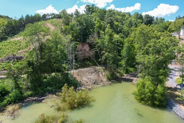 Dandridge, TN 37725,Lot 74 Clear Point Tr