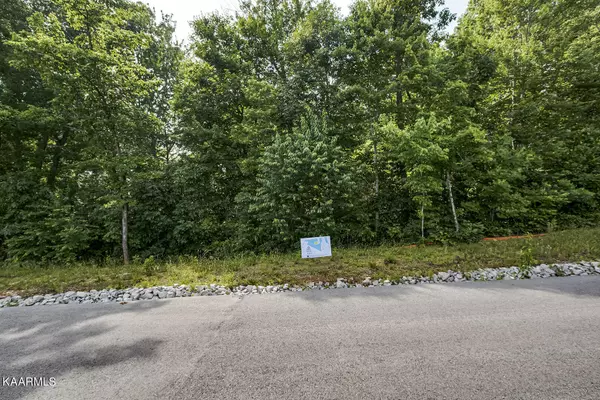 Lenoir City, TN 37771,Lot 3 Estates at Trinity Hill