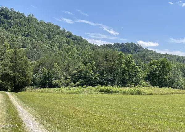 Tellico Plains, TN 37385,1505 Reagan Valley Rd