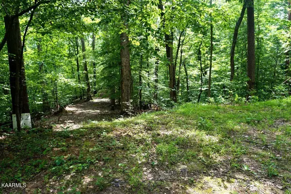 Lot 732 Mossy Hollow Rd, Baneberry, TN 37890