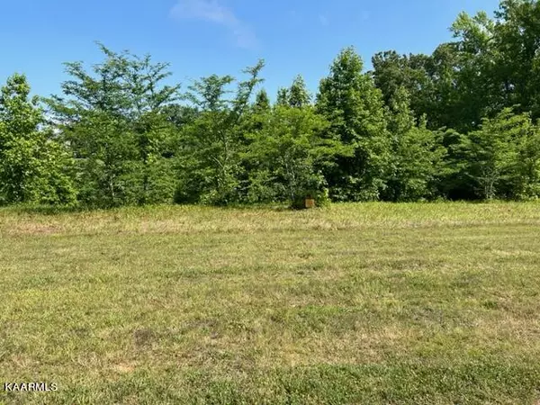 Rockwood, TN 37854,Shore lot 466 DR