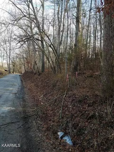 Old Cave Springs Rd, Tazewell, TN 37879