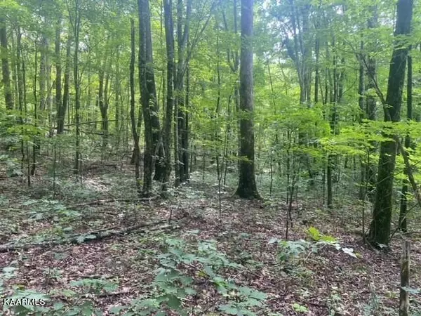 Critter Mtn Way Lot 2, Newport, TN 37821