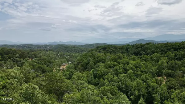 Sevierville, TN 37876,Lot 110 Bluff Ridge Rd