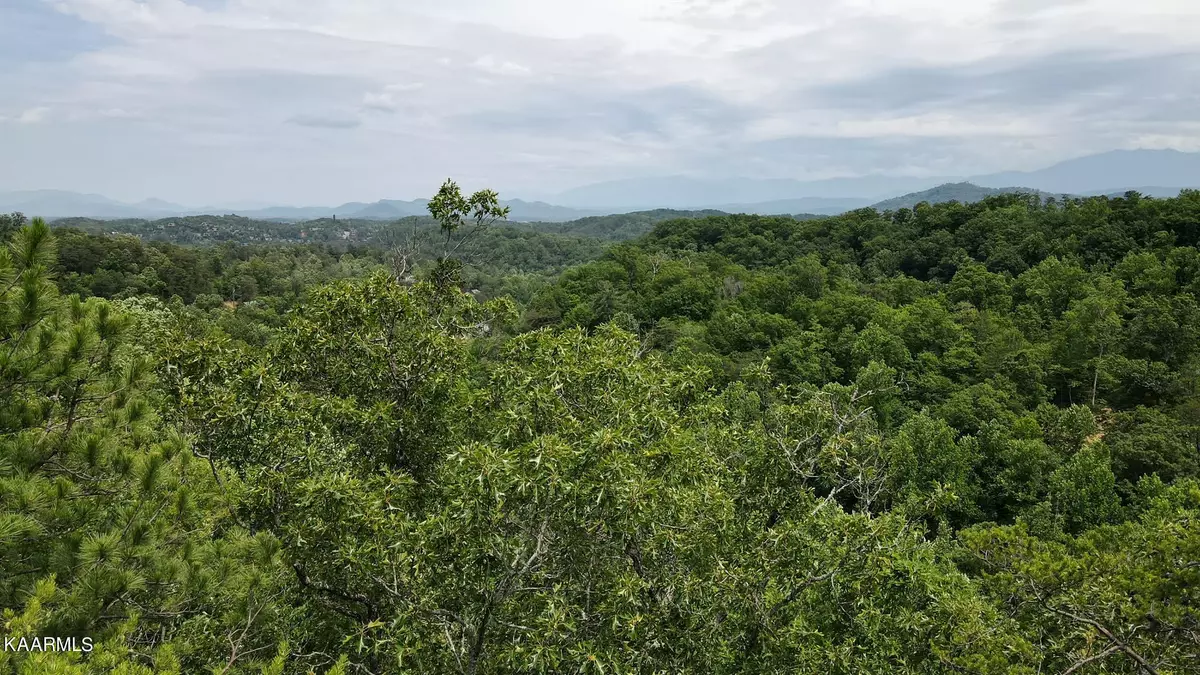 Sevierville, TN 37876,Lot 110 Bluff Ridge Rd