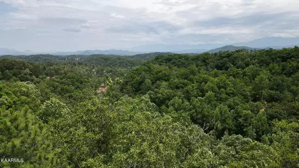 Sevierville, TN 37876,Lot 110 Bluff Ridge Rd