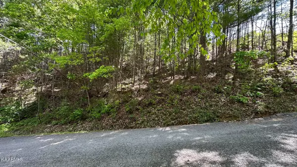 Sevierville, TN 37862,Lot 24 Ridgeland CIR
