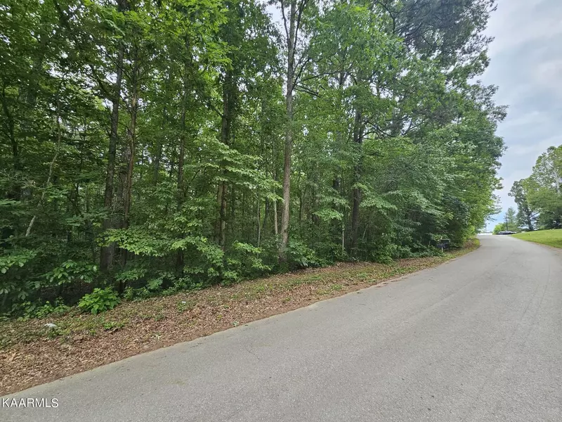 Dye Rd, Clarkrange, TN 38553