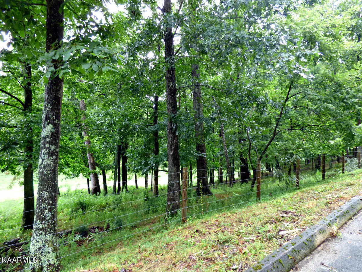 Dandridge, TN 37725,Lot 5 Stonehenge Way