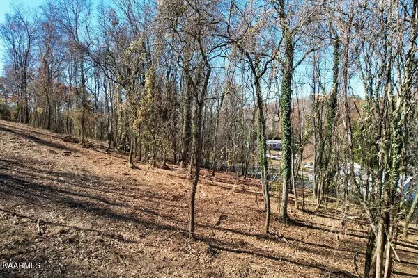 Morristown, TN 37814,Lot 5 Clear View Road Rd