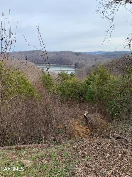 lot 590 Whistle Valley Rd, New Tazewell, TN 37825