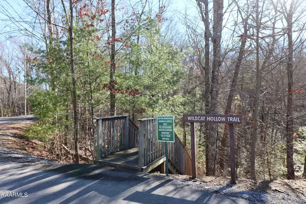 Sevierville, TN 37862,LOT 104 Whetstone Rd