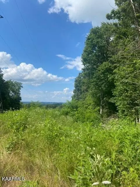 Critter Valley Way Lot 12, Newport, TN 37821