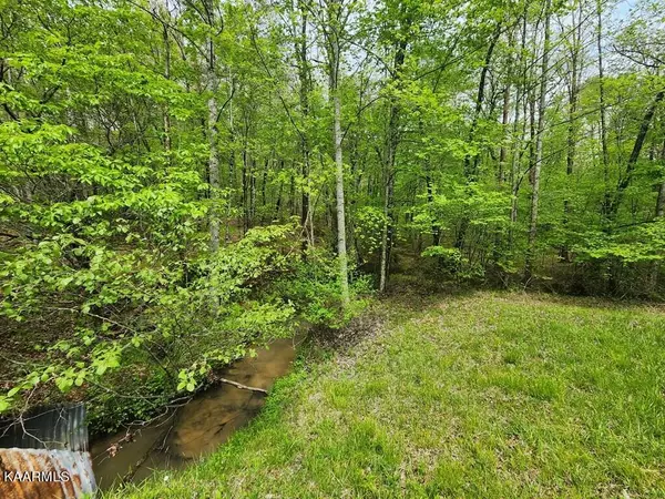 Monterey, TN 38574,Lot 29 Poston DR