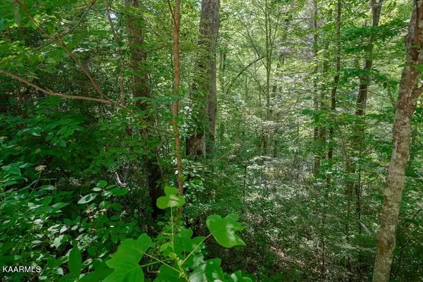 Gatlinburg, TN 37738,Lot 33 Ownby CIR