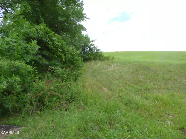 New Tazewell, TN 37825,Mica Court Lot #160