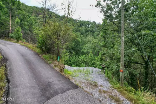 Sevierville, TN 37862,3265 Emerald Springs LOOP