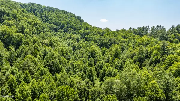 Hartford, TN 37753,33 Acres Rag Mountain Rd