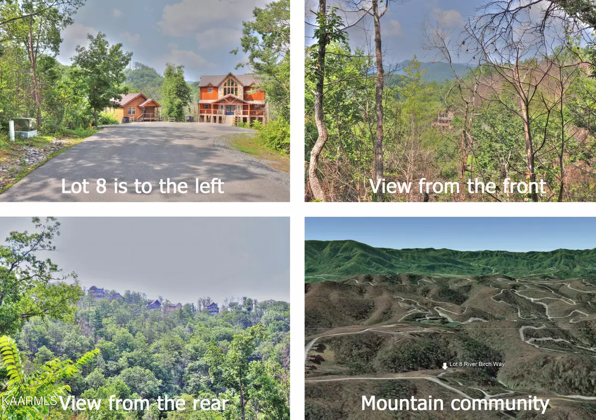 Sevierville, TN 37862,Lot 8 River Birch WAY