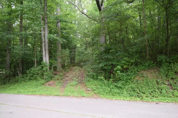 Patton Ln. & Old Patton LN., Rockwood, TN 37854