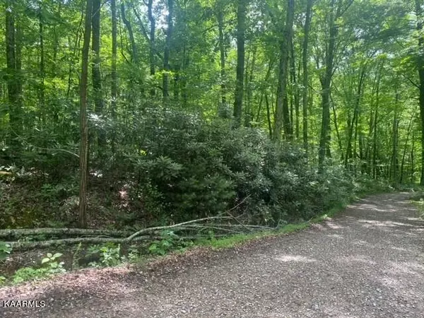 Lot 13 Critter Valley Way, Newport, TN 37821