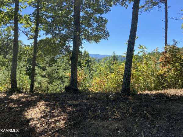 Longhunter,  Lot 64 65 66 & 67 LN,  Sevierville,  TN 37862